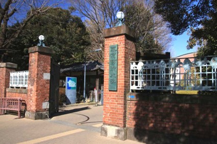 L’Université des Arts de Tokyo : sont-ils des génies… ou des monstres ?