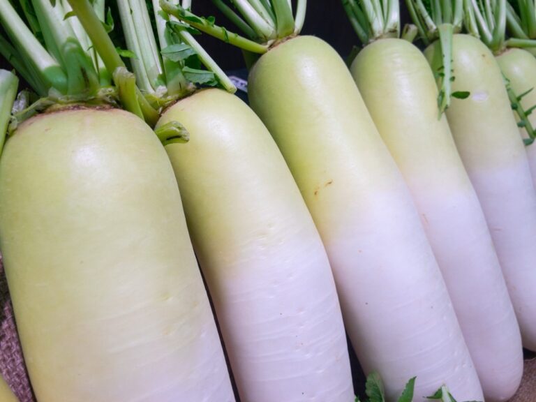 Quand les efforts des agriculteurs transforment un compliment… en insulte